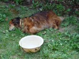 Resize of DSC05741.JPG